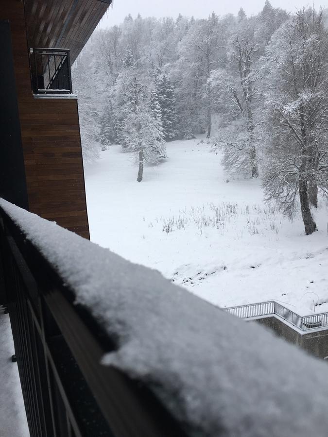 Area Park Bakuriani Lejlighed Eksteriør billede